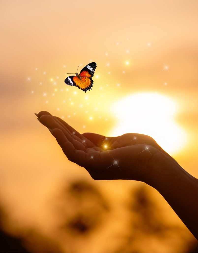 Geöffnete Hand mit Schmetterling im warmen Sonnenlicht als Symbol für Loslassen und Transformation – Coaching bei toxischen Beziehungen